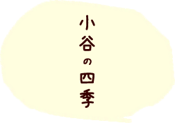 小谷の四季
